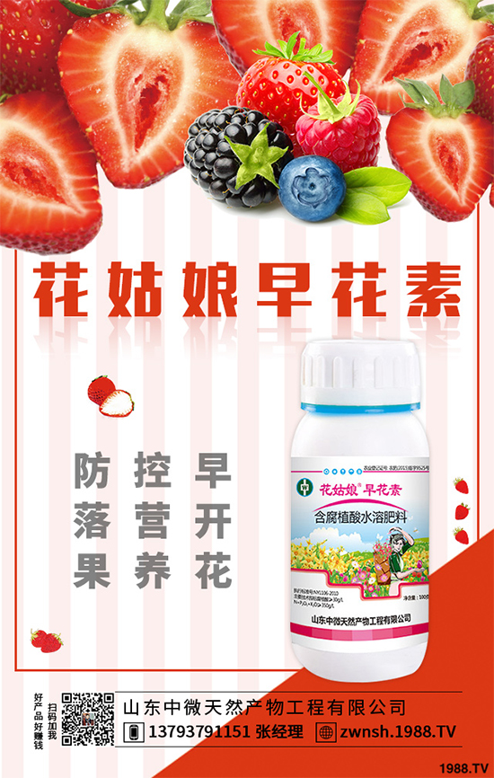 ���؃r�������߄�