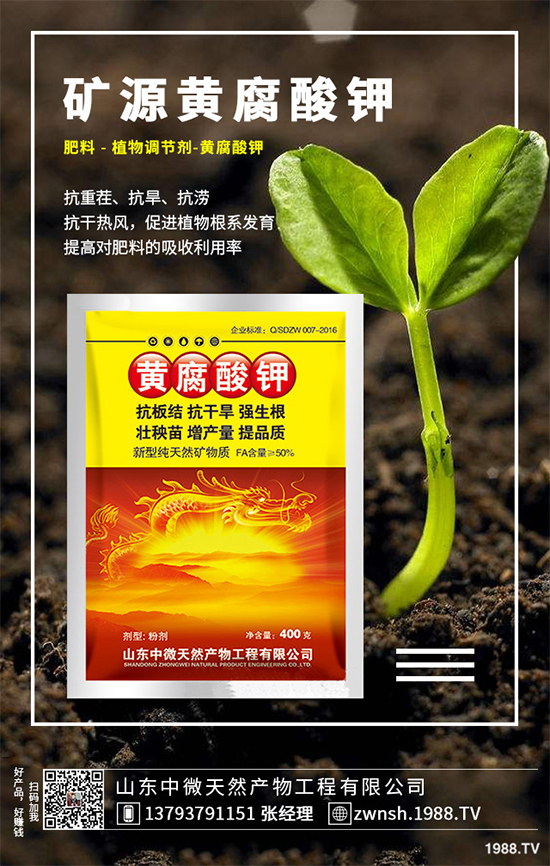 ����(n��i)⛷ʃr��������