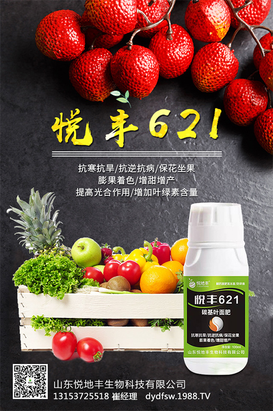 �t����֪��ԓ�����������