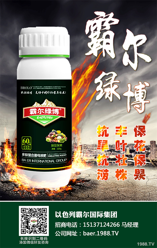 ������ʲô�r�򲥷N��2020���������粥�����ă�(y��u)ȱ�c����