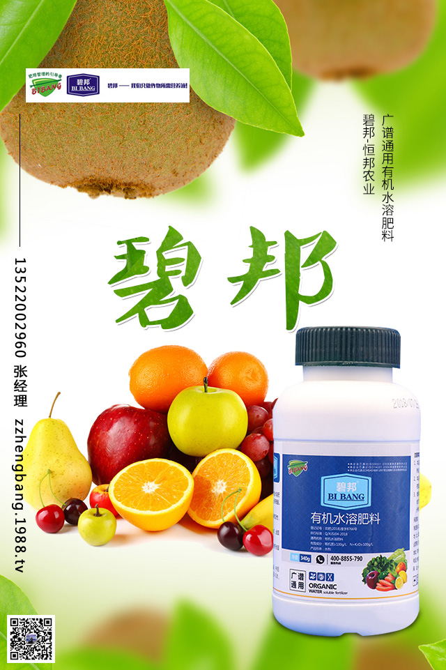 �����������S(ch��ng)��(b��o)�r(ji��)