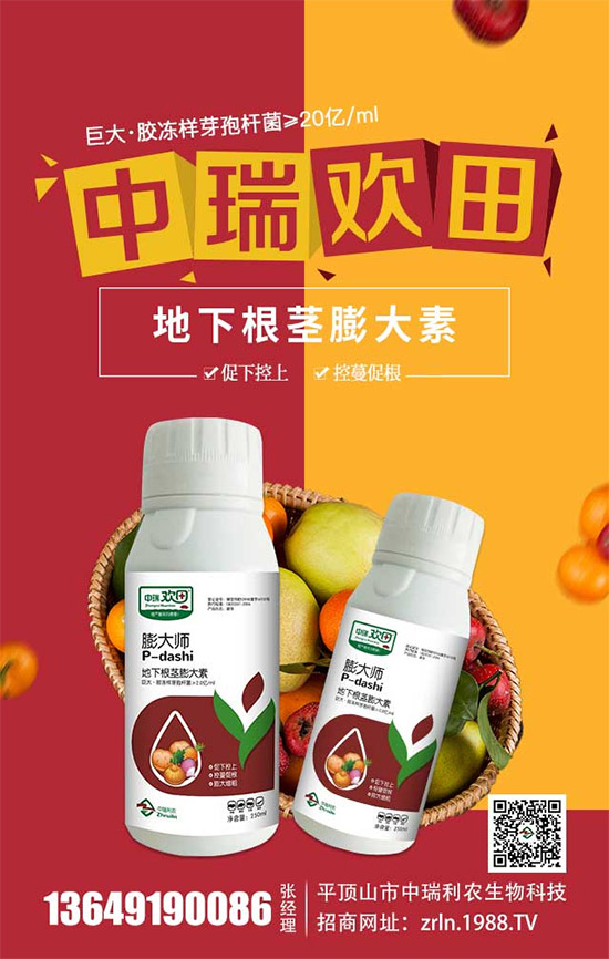 �������������������r(n��ng)�ٺ����r(n��ng)�����̾W(w��ng)�������W(w��ng)�j(lu��)����·��