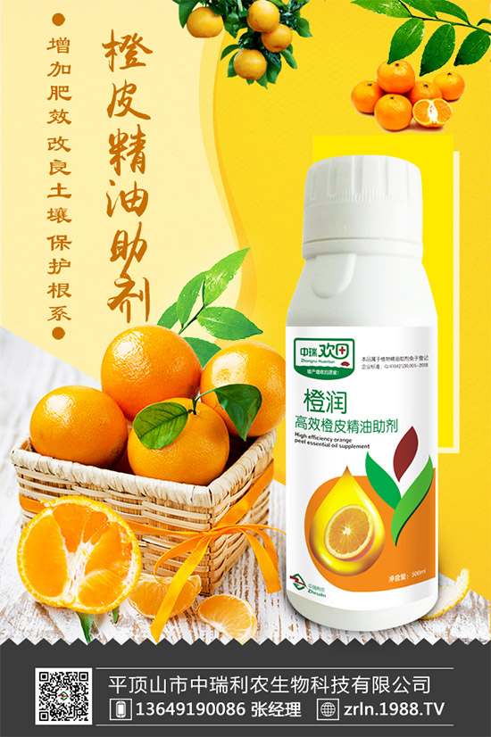 �������������������r(n��ng)�ٺ����r(n��ng)�����̾W(w��ng)�������W(w��ng)�j(lu��)����·��