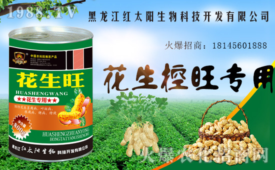 �������������t̫������ٺ�1988.TV���y�ֹ��A2020��