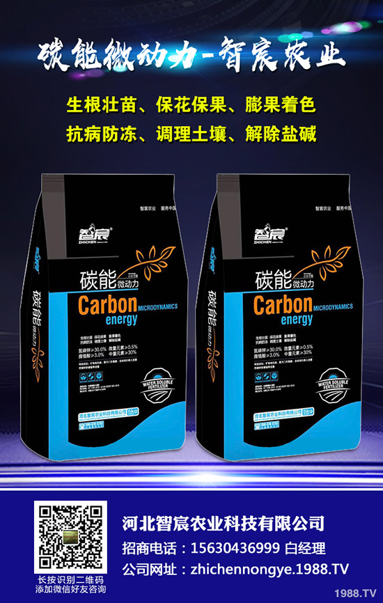 ���ϵ��������������ʩ���Ľ�����