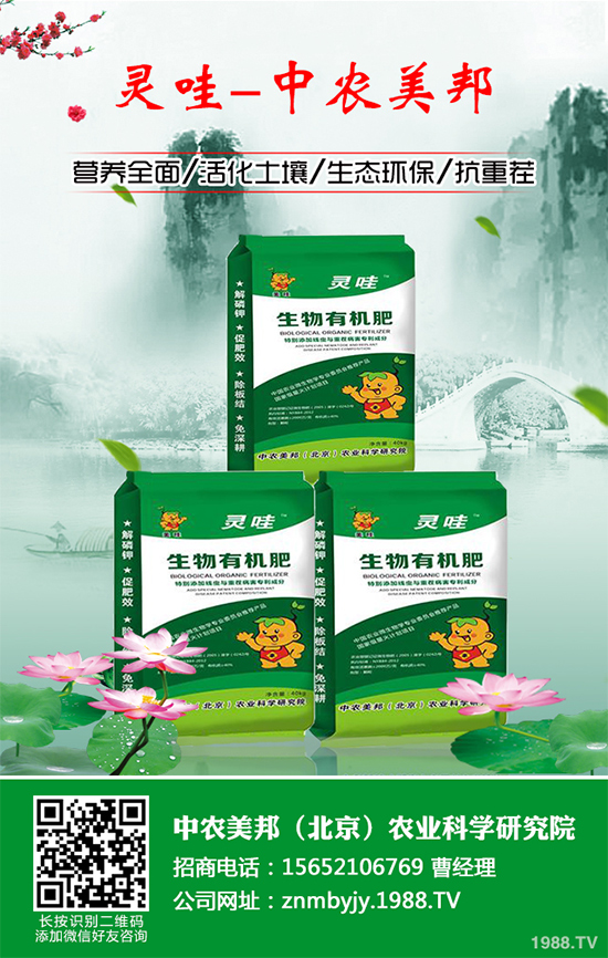 ���᳣Ҋ��������Щ��ԓ����A(y��)�������Ს���İl(f��)���c������