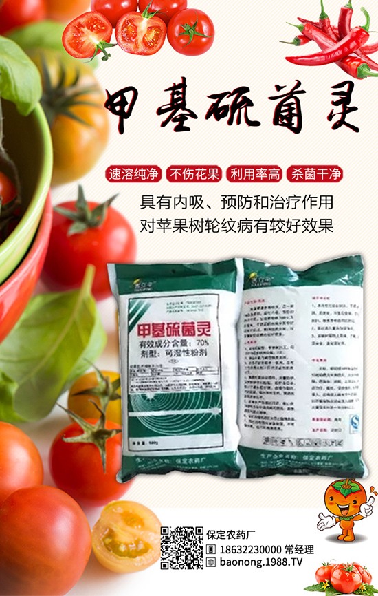 ������������أ���Ч����â���ǰ��������u���