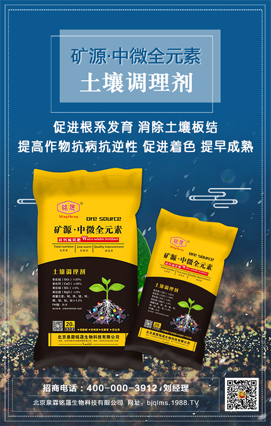 ��֥��ʲô�r(sh��)�g�Nֲ����֥�����༼�g(sh��)Ҫ�c(di��n)��