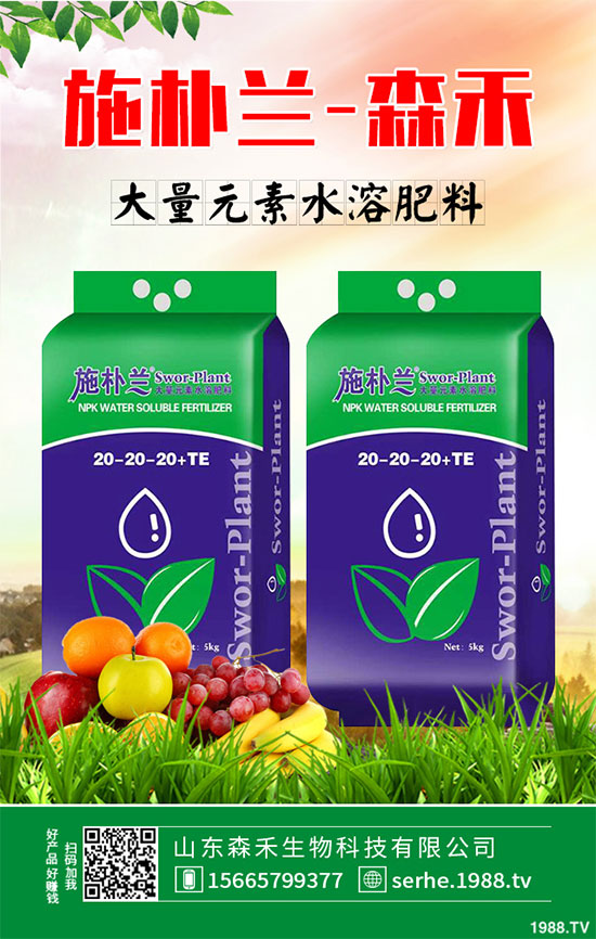 �R���r�񲻔����ߣ��ܷ��^�m(x��)��ͦ��2020���R����Nֲǰ������