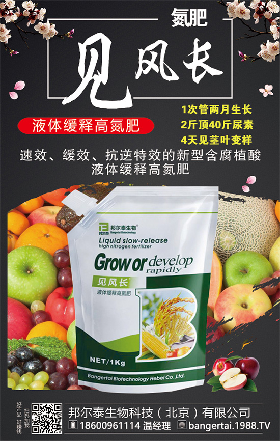 ���X������Щ���L(zh��ng)��(x��)�������X����ô�Nֲ��