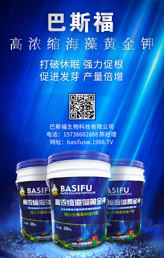 玉米施肥的更佳時間是啥時候？ 咋樣施效果好？