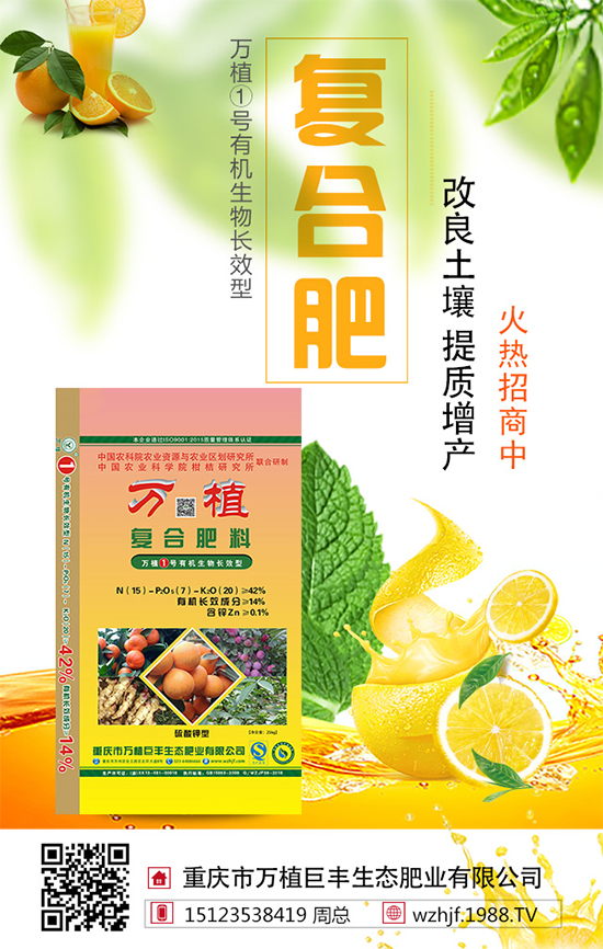     ��(zh��n)�Ժ������������fֲ���S�y��1988.TV�ل�(chu��ng)�x����