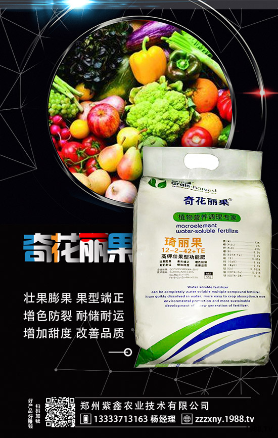 ��ݮĸ�綨ֲ������ʩ�������ӝ�ˮ��