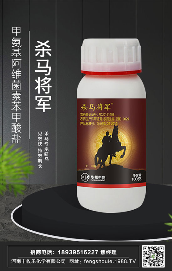 �������\�l(f��)չ�������S�՘��ٺ�1988.TV�_��(chu��ng)���x����