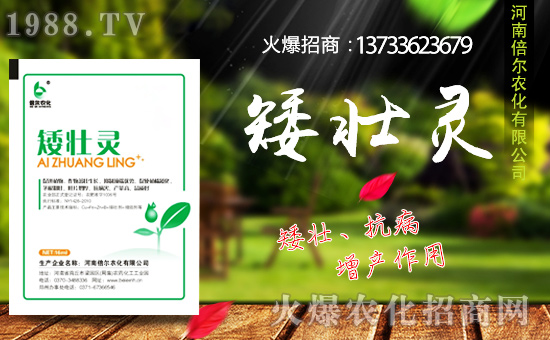 ���ϱ����m(x��)�s1988.TV���y�ֹ���(chu��ng)���x����