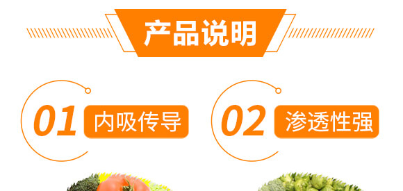 �ݸ�좮������}-�x��-��ʯ����_04