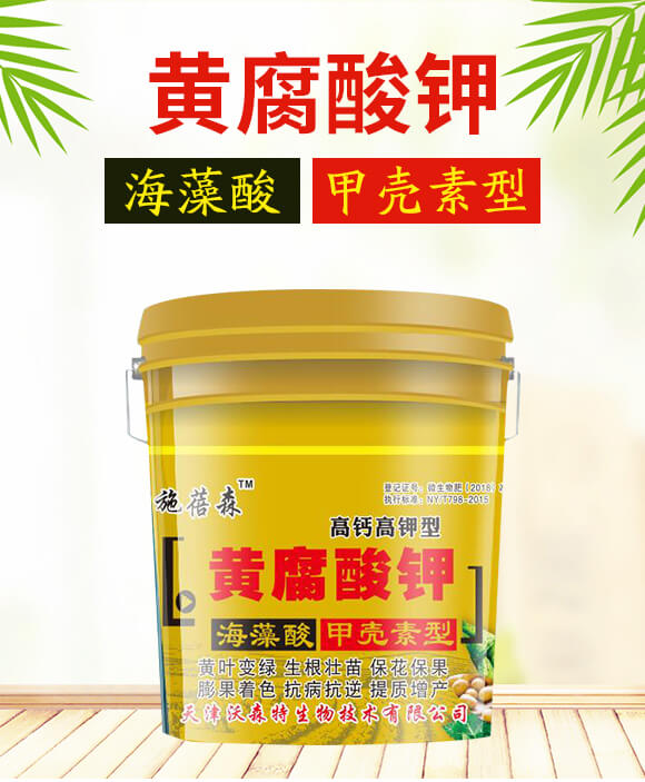 ���}������S�����-ʩ��ɭ-��ɭ��_01