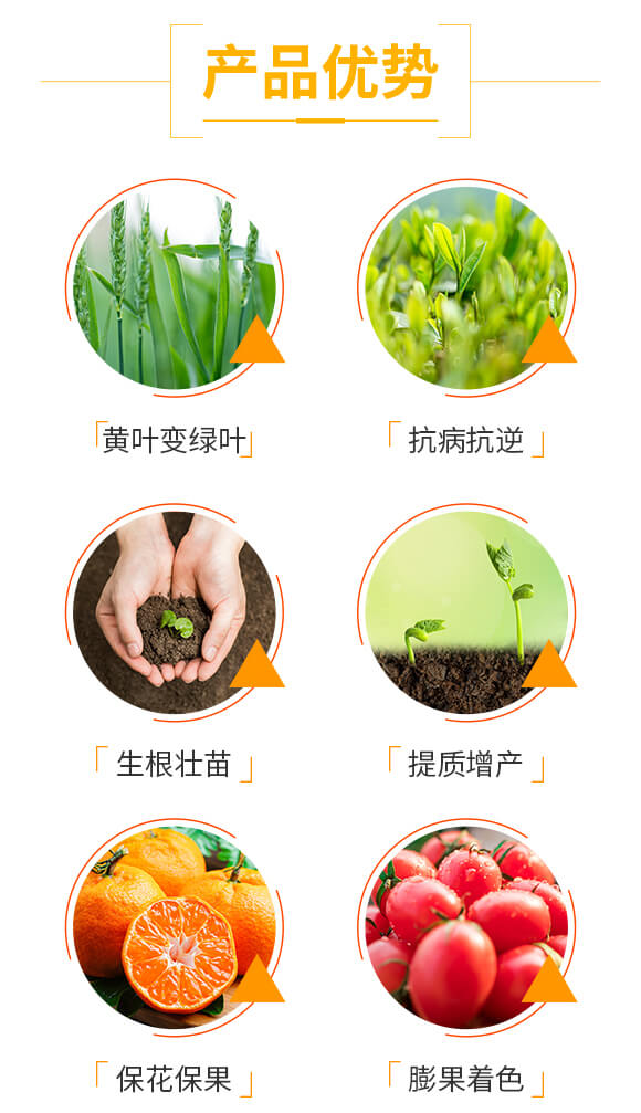 ���}������S�����-ʩ��ɭ-��ɭ��_03