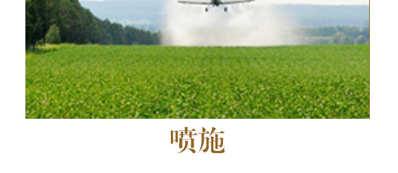 ��ˎ��ɽˎ���ߌ���-����ֲ��ˮ�ܷ�-�����r(n��ng)��_13