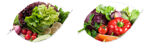 ��ˎ��ɽˎ���ߌ���-����ֲ��ˮ�ܷ�-�����r(n��ng)��_08