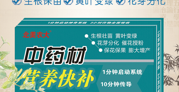 ��ˎ�ĠI(y��ng)�B(y��ng)���a(b��)-����ֲ��ˮ�ܷ�-�����r(n��ng)��_02