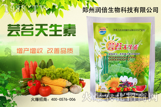 �S�B������ô�������S�B���ڲ��x(ch��ng)��������