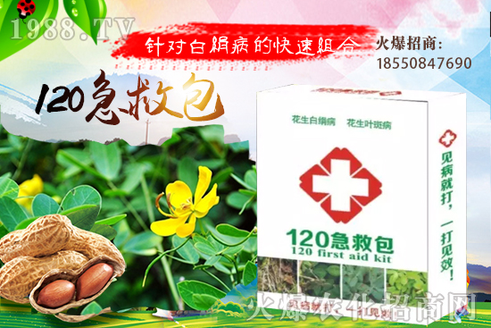 �S�ϼ޽���ʲô��̎����������S�ϼ޽�����