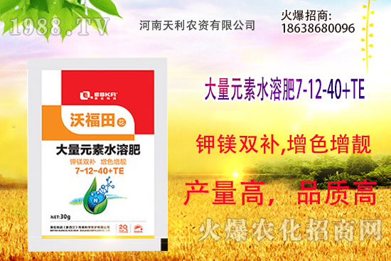 ��피t��ô�B(y��ng)����피t���B(y��ng)ֳ������ע�����(xi��ng)��