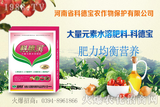 ��֦ʲô�r(sh��)�g��������֦���A�\(y��n)��������Щ��