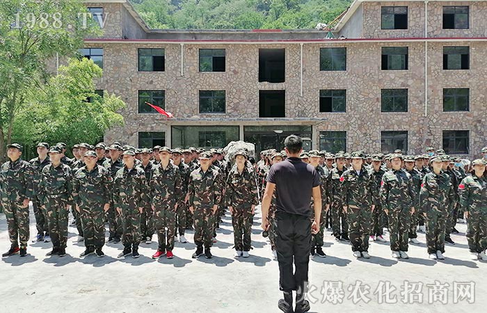 2020������Ӗ(x��n)����