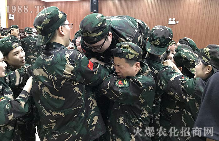 2020������Ӗ(x��n)����