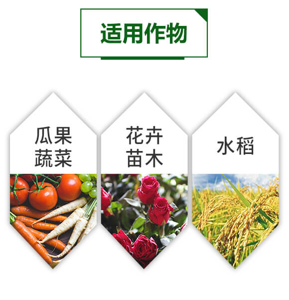 �����ЙC�|�����-䁝M��-���~����_05