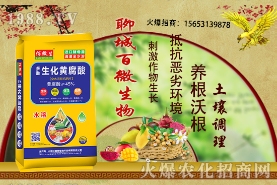 ������ʲô�r��׷������ʲô���ϣ�����׷����ʲôע�������