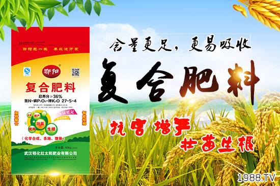 Ѫ������Щ�I�B(y��ng)�rֵ����Ѫ����ʲô��̎��