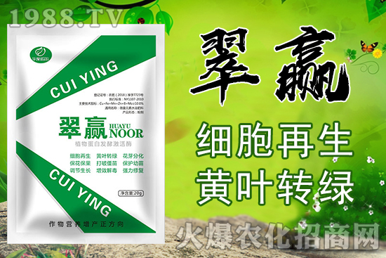 �S�~�D(zhu��n)�G