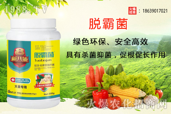 �����Nֲ�xʲôƷ�N�������Nֲǰ��������Ʒ�N���]��