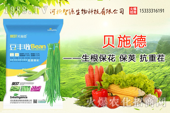 �ӱ���Դ�ٶȔy��1988.TV���y�ֹ���(chu��ng)��(zh��n)����