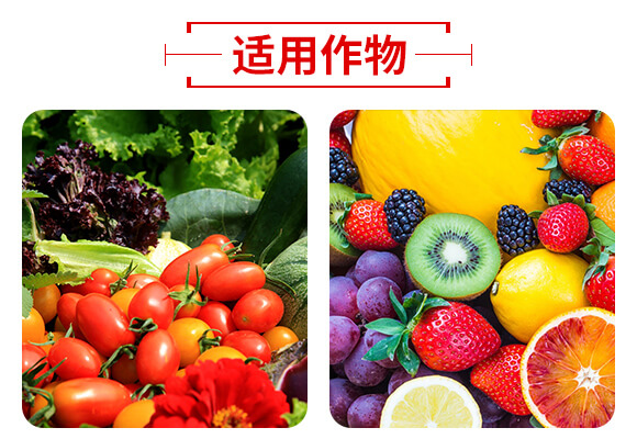 ɽ�|��(j��)����W(w��ng)(li��n)�䷽�����޹�˾�a(ch��n)ƷԔ���3_05