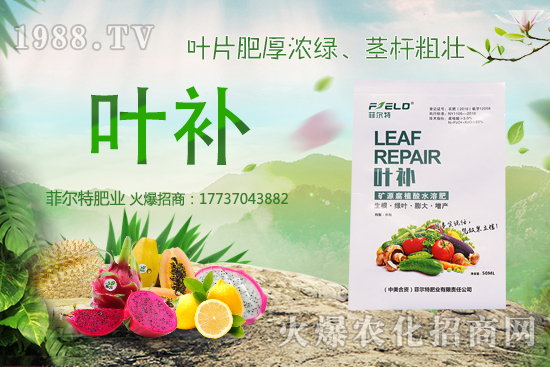 �o(w��)�����Nֲǰ����ô�����o(w��)�����Nֲ�r(sh��)�g�ͷ�����