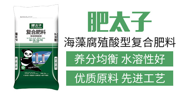 ���帯ֳ���͏�(f��)�Ϸ���18-18-18+TE-��̫��_03