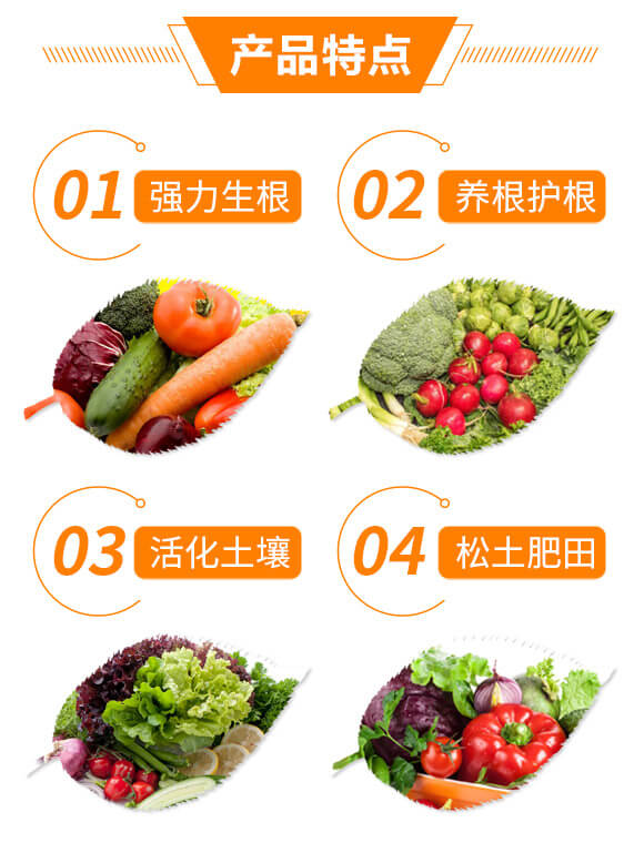 �����ޏ�(f��)��-�޶�����5L��-�{��_04