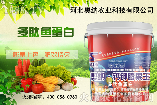 ���ӱ��W�{����Ʒ��(l��i)�u��������������o����ע��I(y��ng)�B(y��ng)�·�����