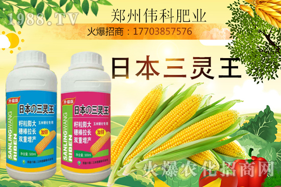 ���׿����״κ������׿����r(sh��)�g�����׿����a(ch��n)Ʒ�x����