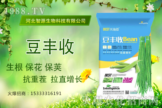 ���ˡ����S�ա���������ֱ���L�a(ch��n)���ߣ����S����ʲô��(y��u)��(sh��)��