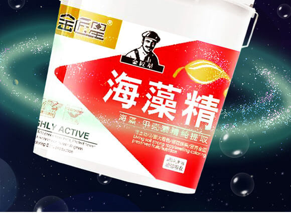 ���徫-����_02