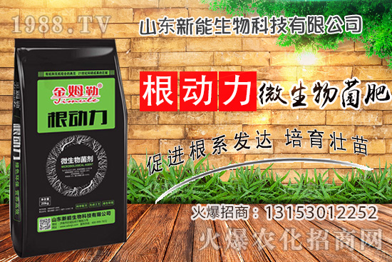 ����������ʲô����ʹ�á�΢������ʡ���ʲô��(y��u)�ݣ�