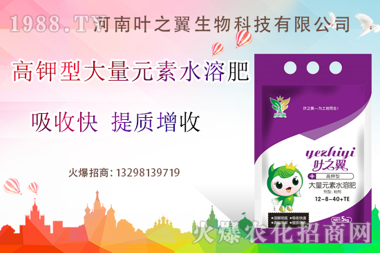 �����������ƽ����ˮ�ܷ���ʲô��������ô�x��Ų����e��