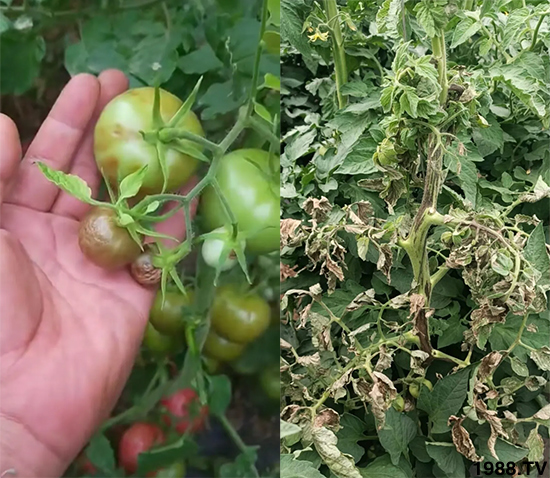 ����������ΰl(f��)���ģ��Л]�кõķ��δ�ʩ�������@�ׂ�(g��)����߀�оȣ�