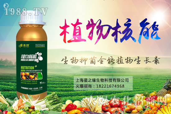 ���ѷNֲ����