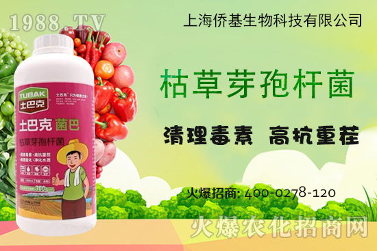 �Ϻ��S�������Ϳˡ�-��(zhu��n)ע�����������غ������ޏ�(f��)15�꣡